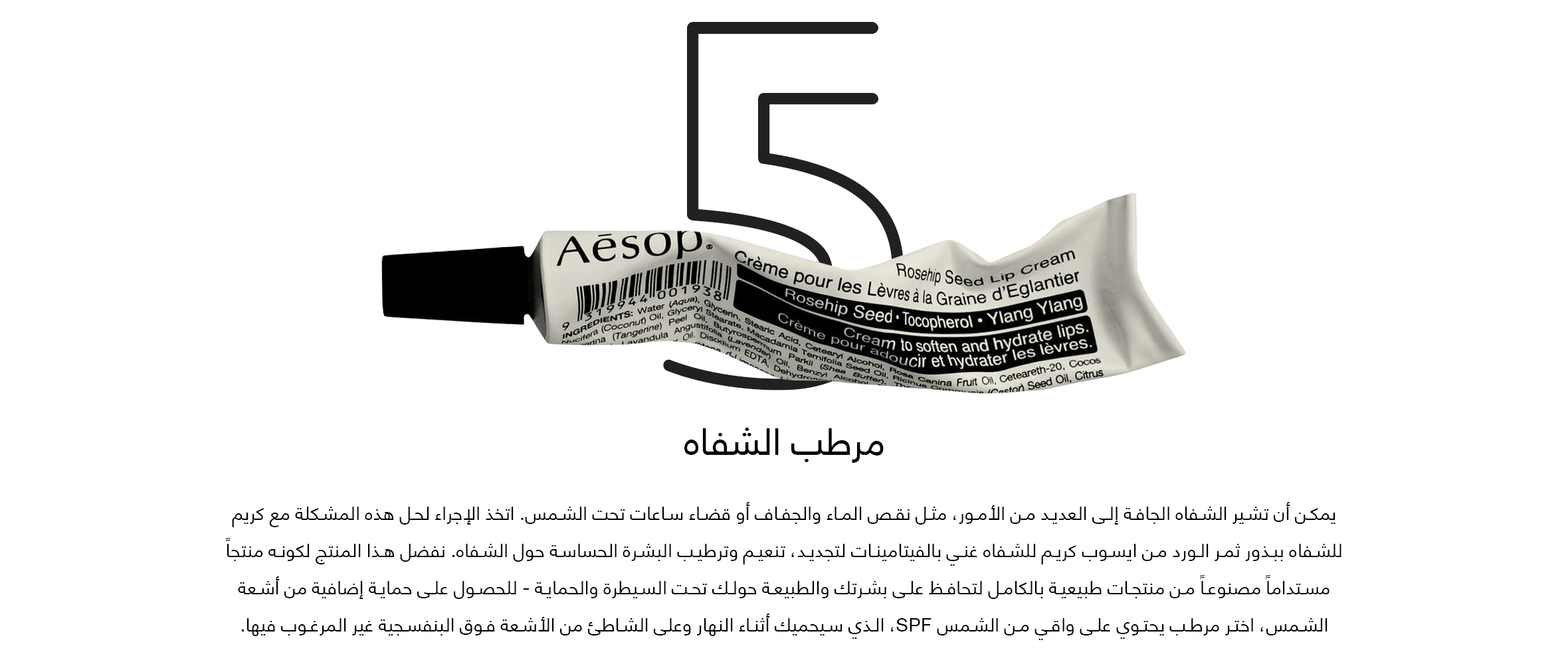Element-5-web-Arabic