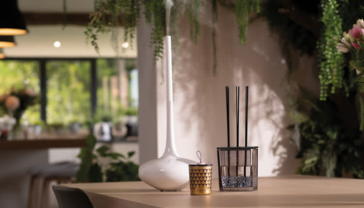 Loc de noapte Puneți hainele lexicon Shop Luxury Esteban Paris Parfum Edits for Women Online | Ounass Bahrain Loc de noapte Puneți hainele lexicon Shop Luxury Esteban Paris Parfum Edits for Women Online | Ounass Bahrain