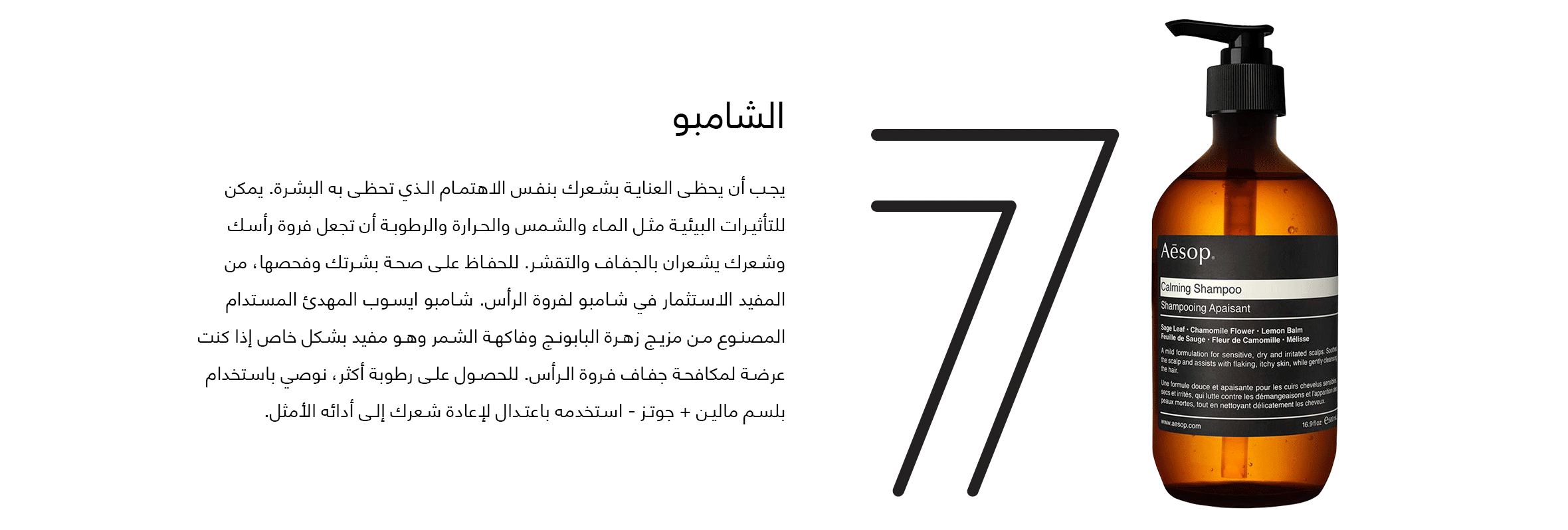 Element-7-web-Arabic