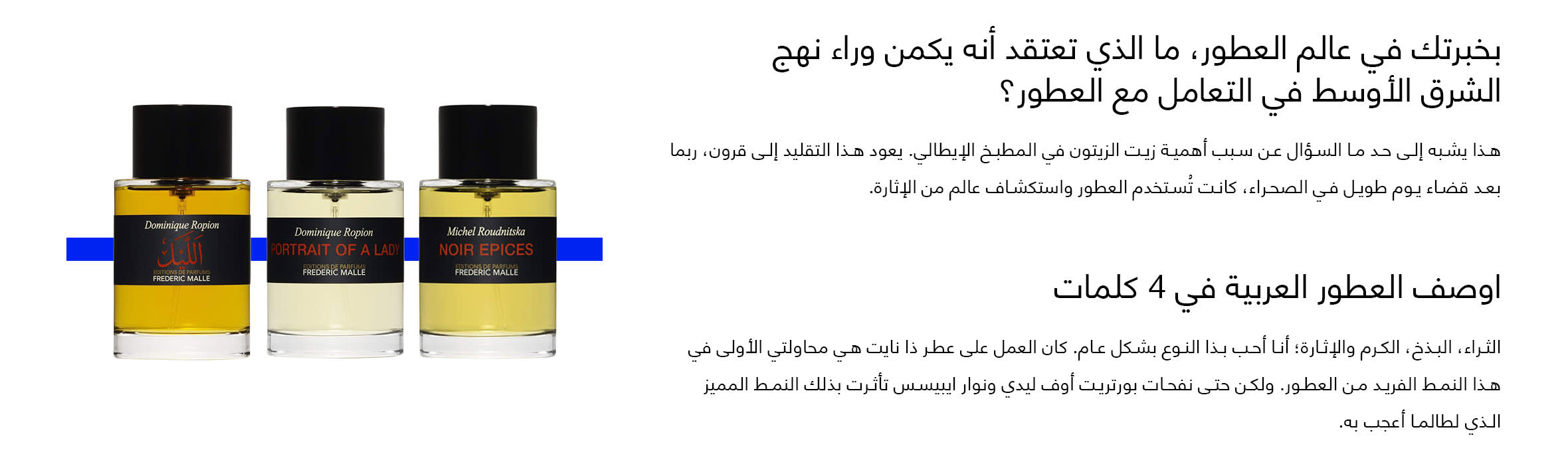 Element 1 web Arabic