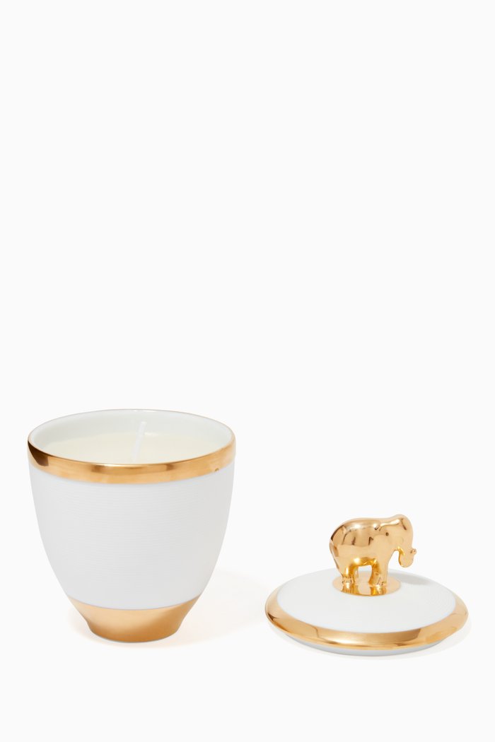 

Elephant Candle in Limoges Porcelain, Multicolour