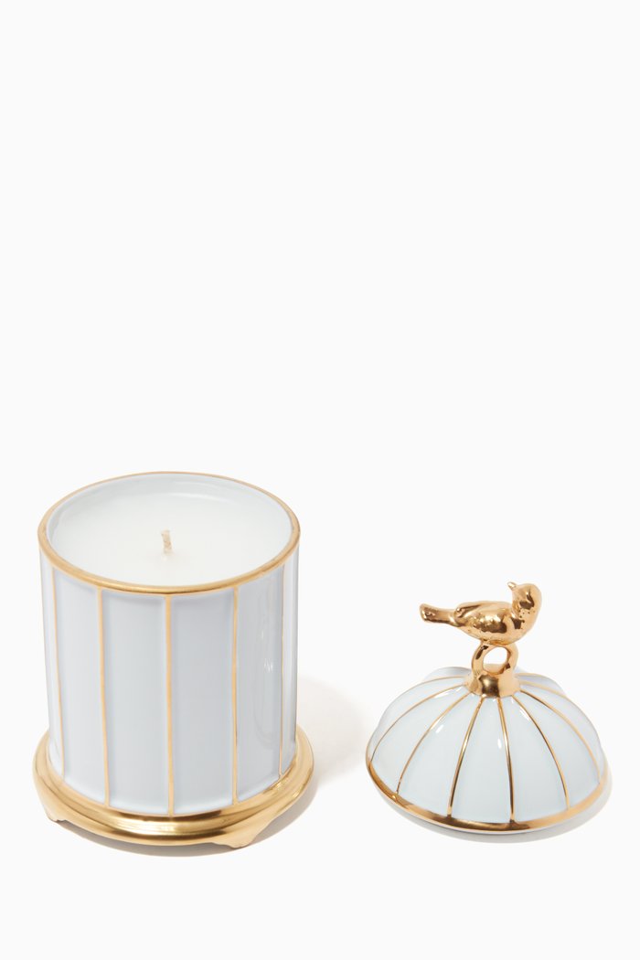 

Birdcage Candle in Limoges Porcelain, Multicolour