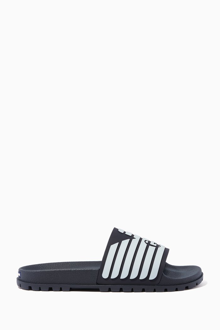 

Navy & White Logo Slides