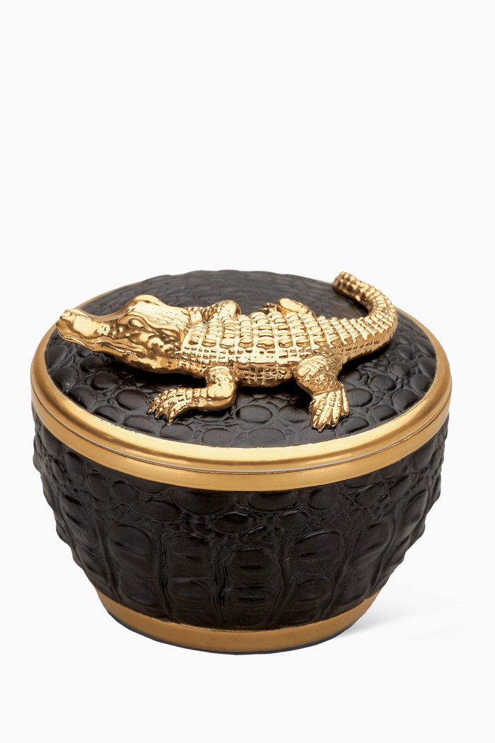 

Crocodile Candle, Multicolour