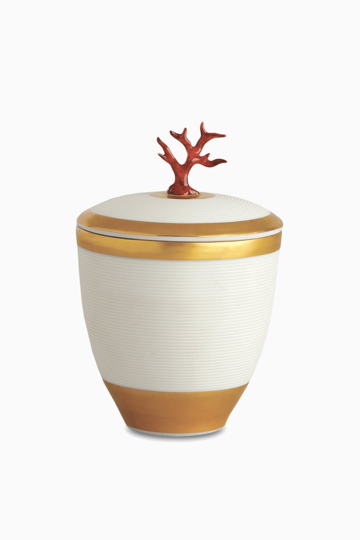 

Coral Candle, Multicolour