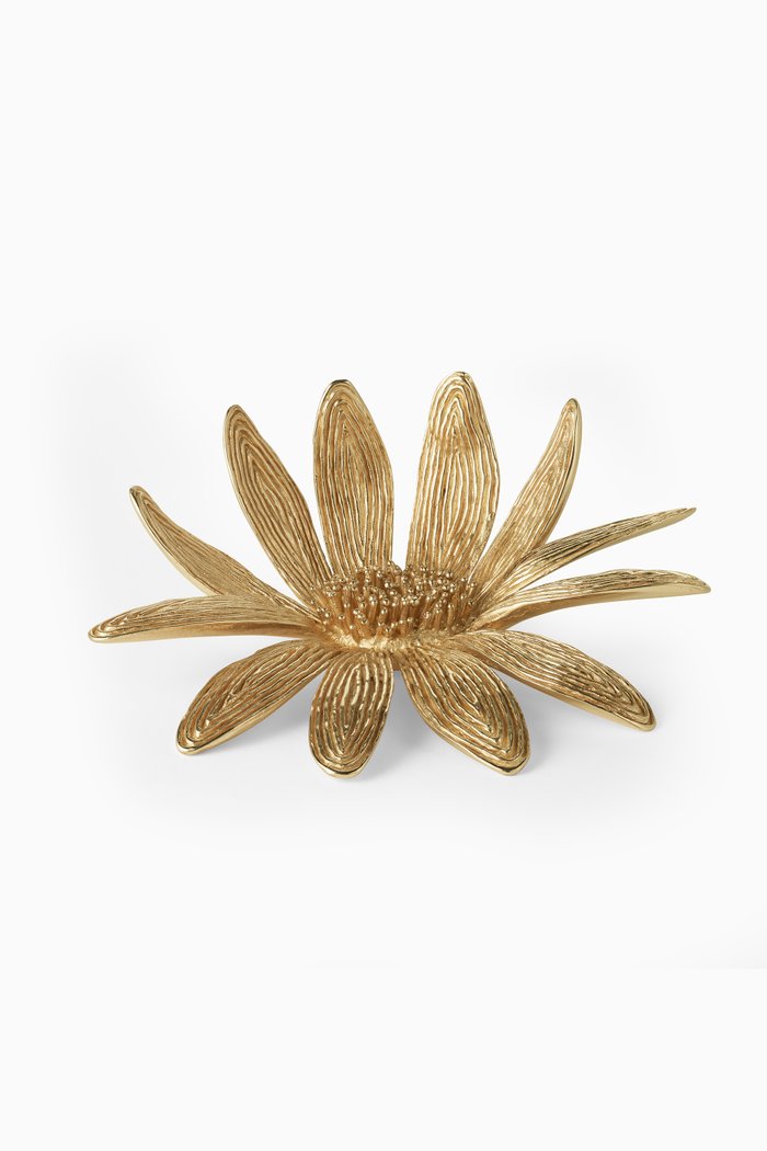 

Brass Marguerite Flower, Multicolour