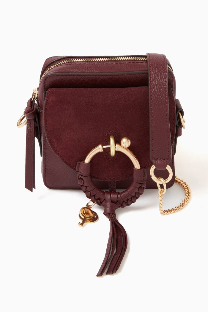 

Joan Camera Bag in Grained & Suede Cowhide, Burgundy
