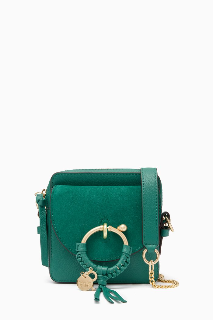 

Joan Camera Bag in Grained & Suede Cowhide, Green