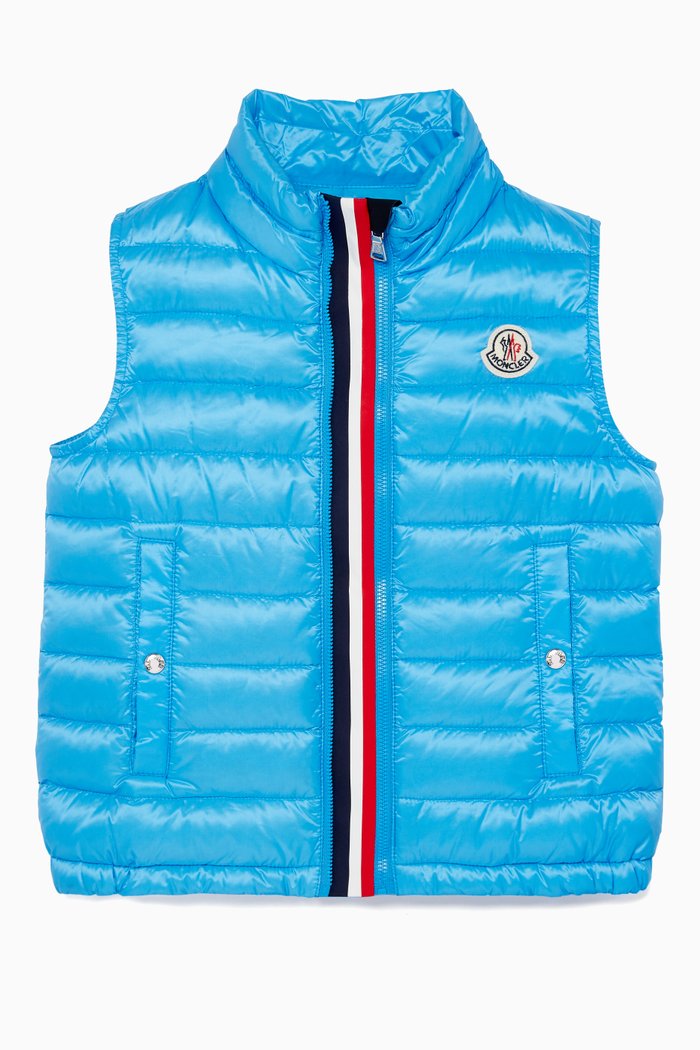 

Blue Feather-Quilted Vest
