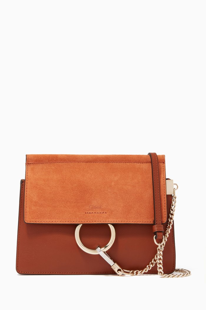

Mini Faye Chain Bag in Smooth & Suede Calfskin, Brown