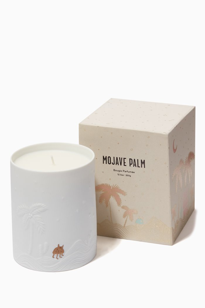 

Haas Mojave Palm Candle, White