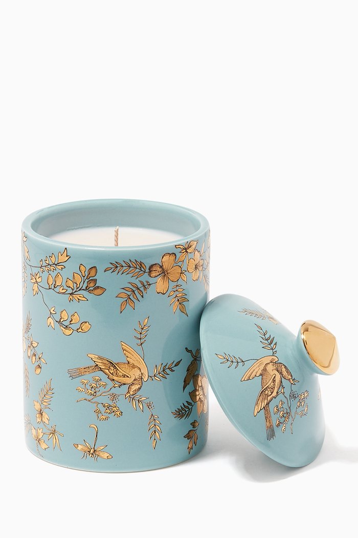 

Flora Coromandel Scented Candle, 300g, Multicolour