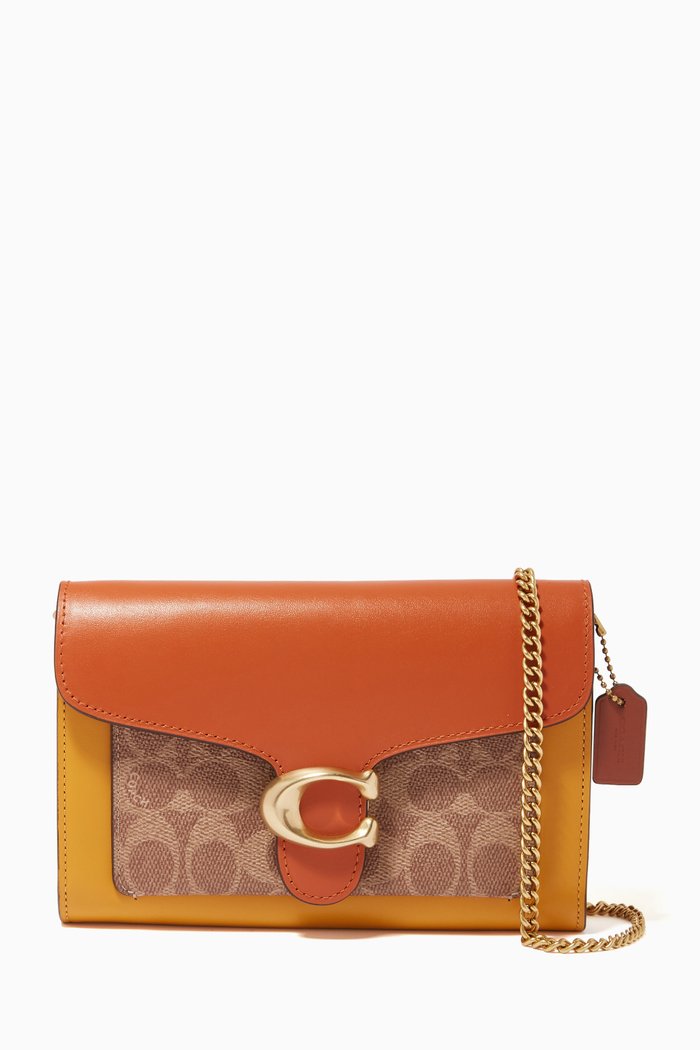 

Tabby Chain Clutch in Colorblock Signature Canvas, Multicolor