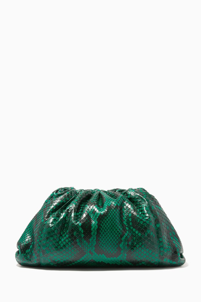 The Pouch in Python, Green