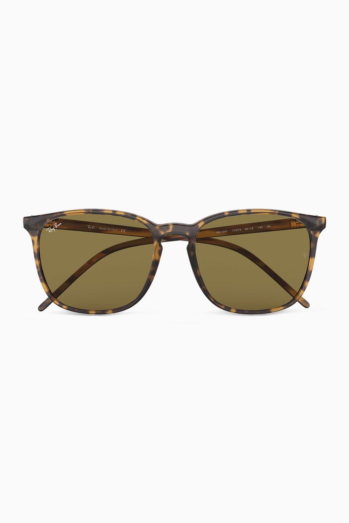 

RB4387 Square Sunglasses, Brown