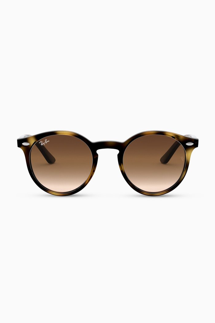

RJ9064S Gradient Sunglasses, Brown