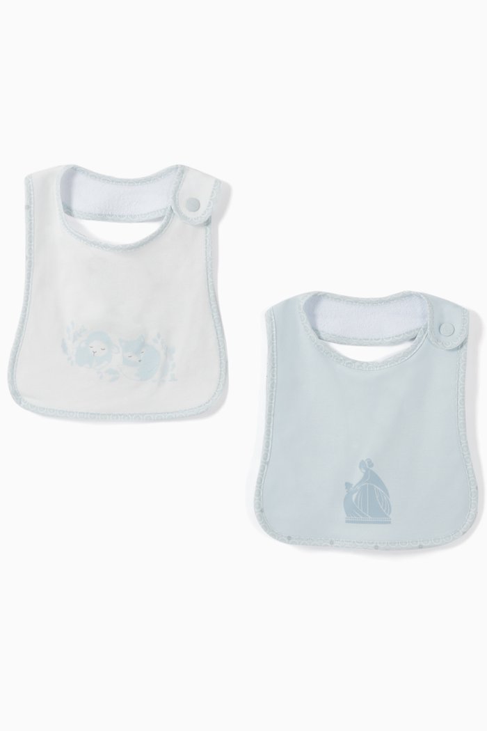 Printed Bib, Set of 2, Blue