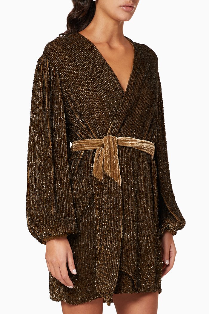 

Gabrielle Sequin Robe Dress, Green