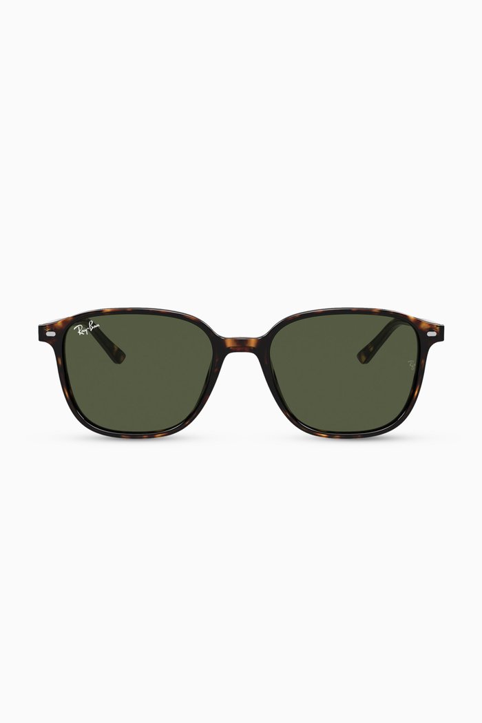 

Leonard Polarized Sunglasses, Brown
