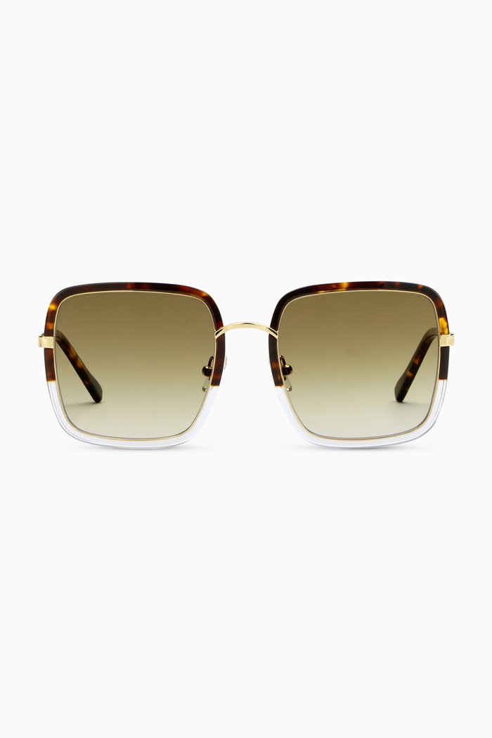 Clio Oversized Sunglasses in Acetate & Stainless Steel, Multicolour