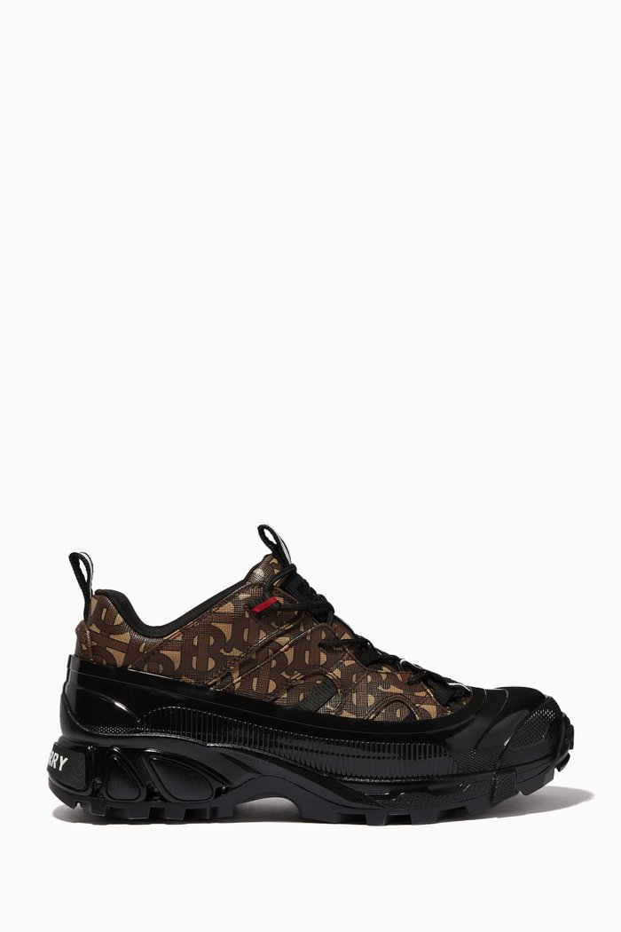 

Arthur Sneakers in Monogram E-Canvas, Brown