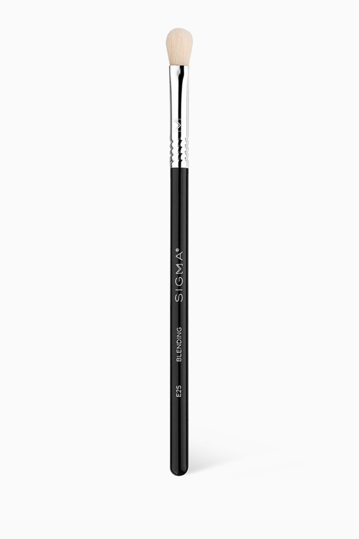 

E25 Blending Brush, Multicolour