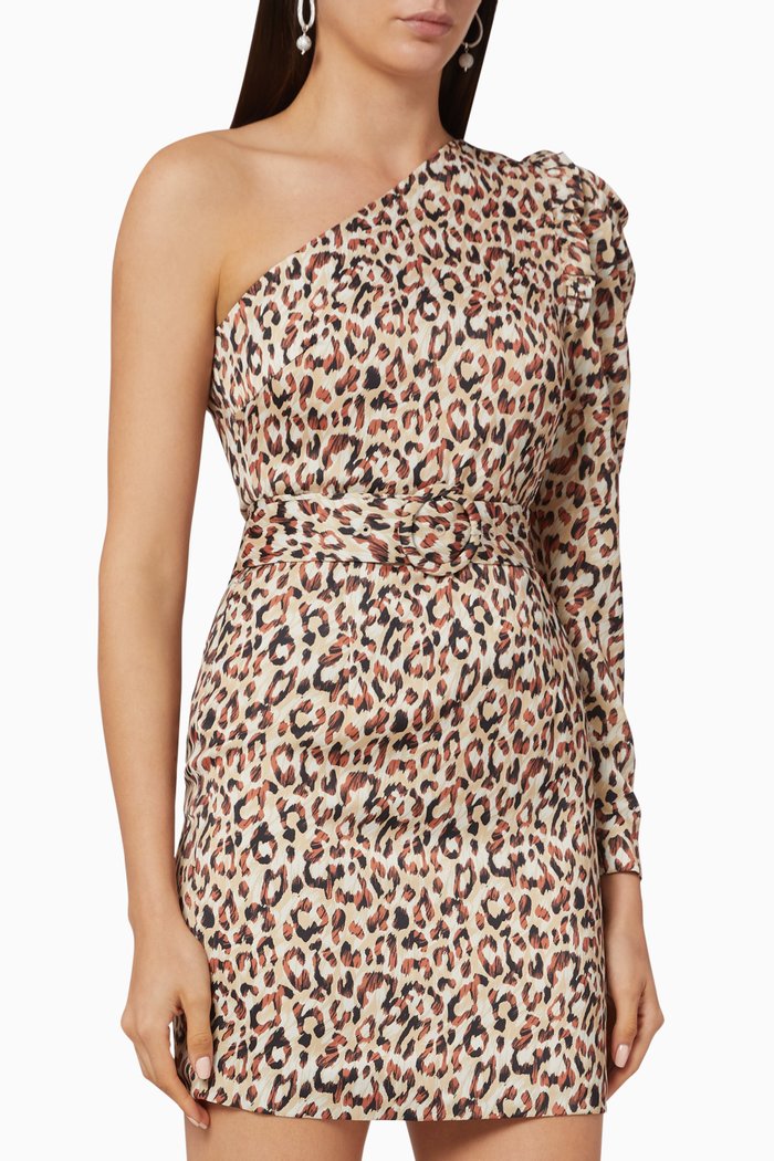 

Leopard Print Dress, Multicolour