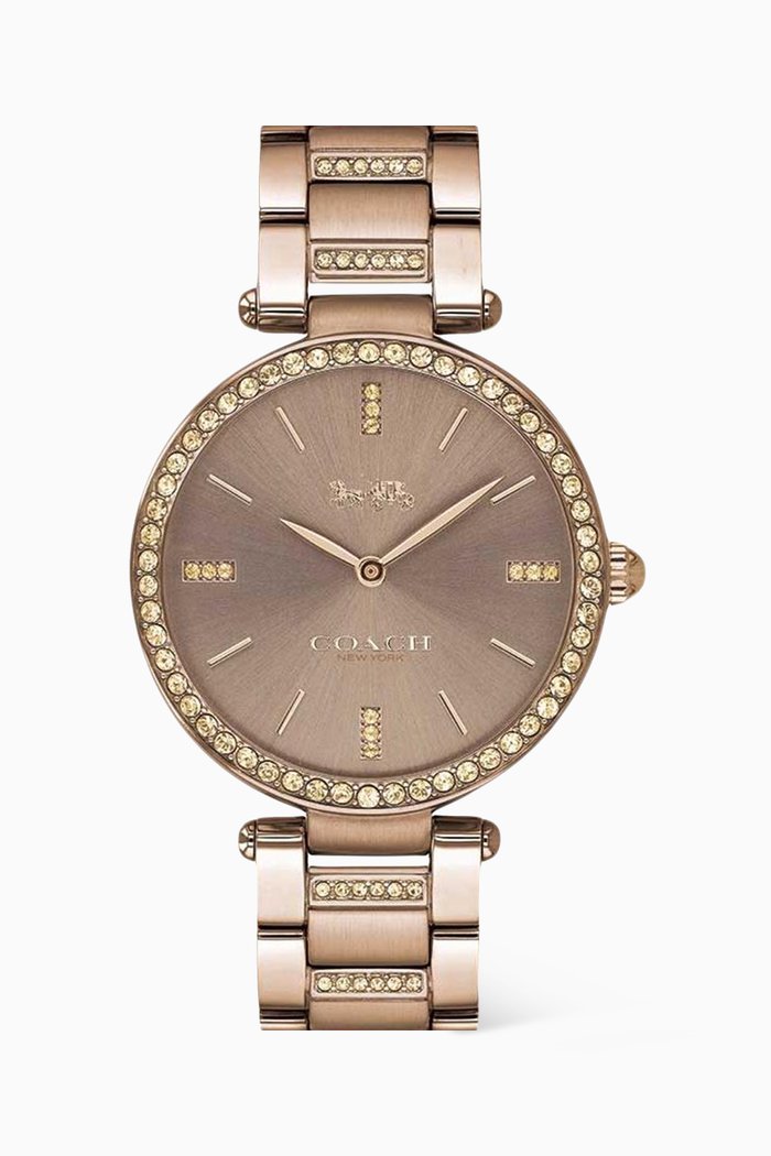 

Park Watch, 34mm, Brown