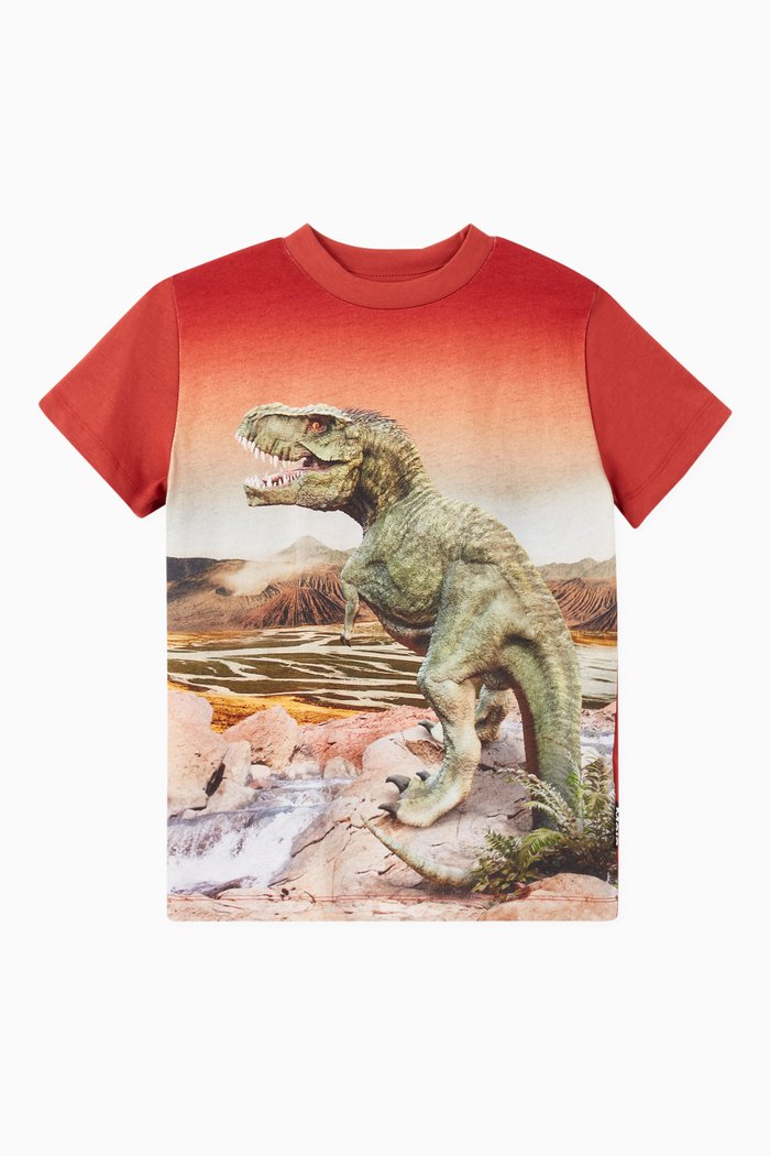 

Road Organic Cotton T-shirt, Multicolour