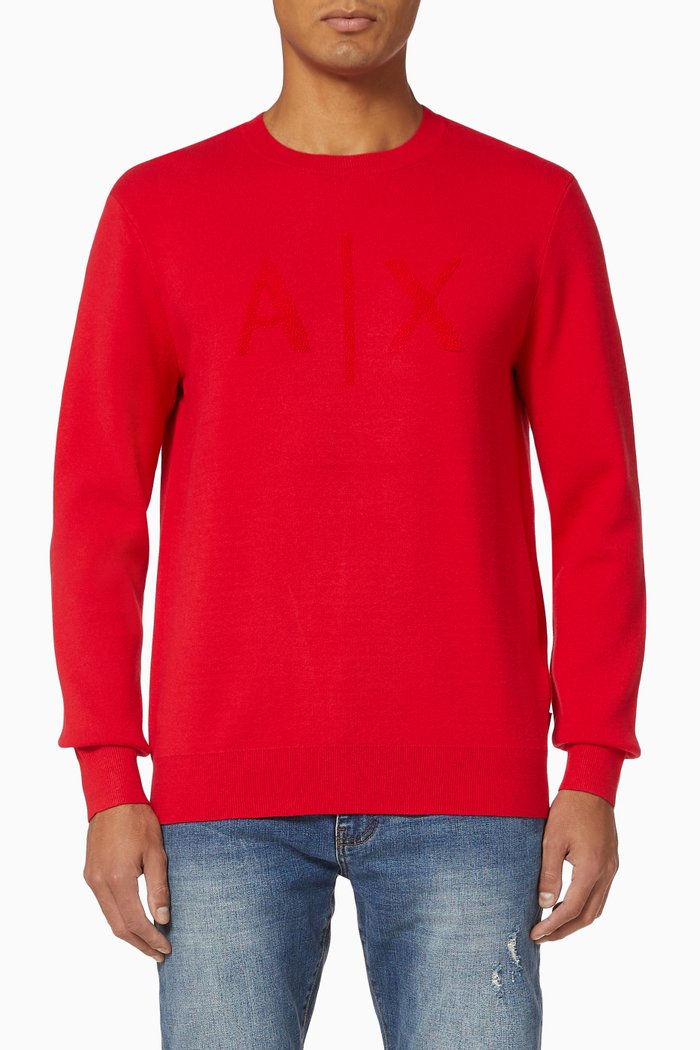 Raised Logo Knit Pullover, Red