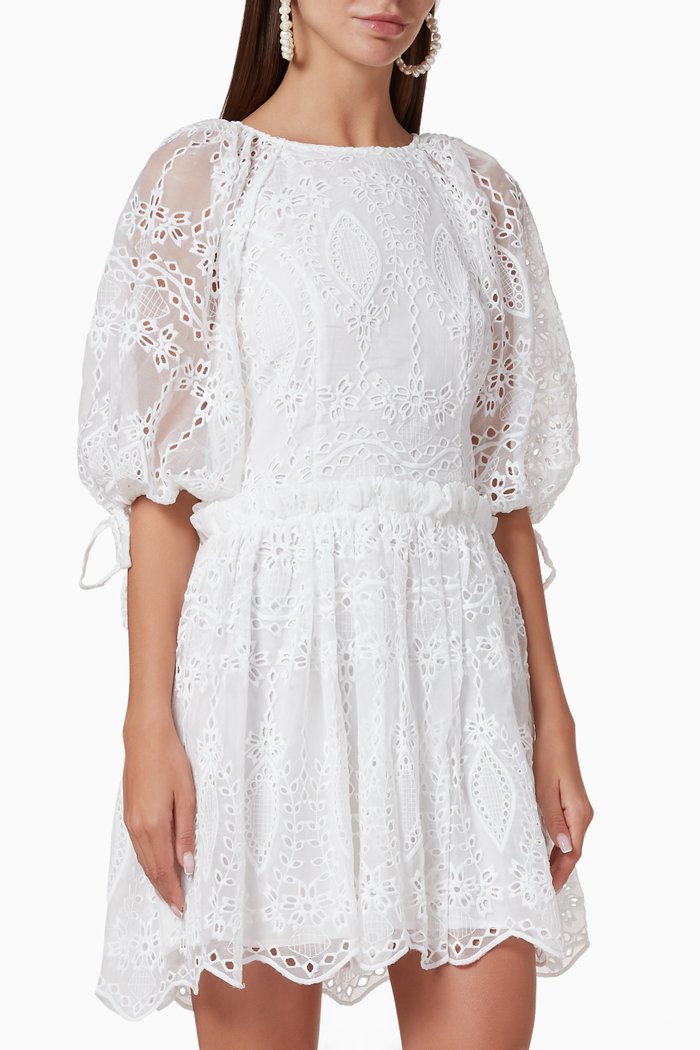 

Splendour Embroidered Mini Dress, Neutral