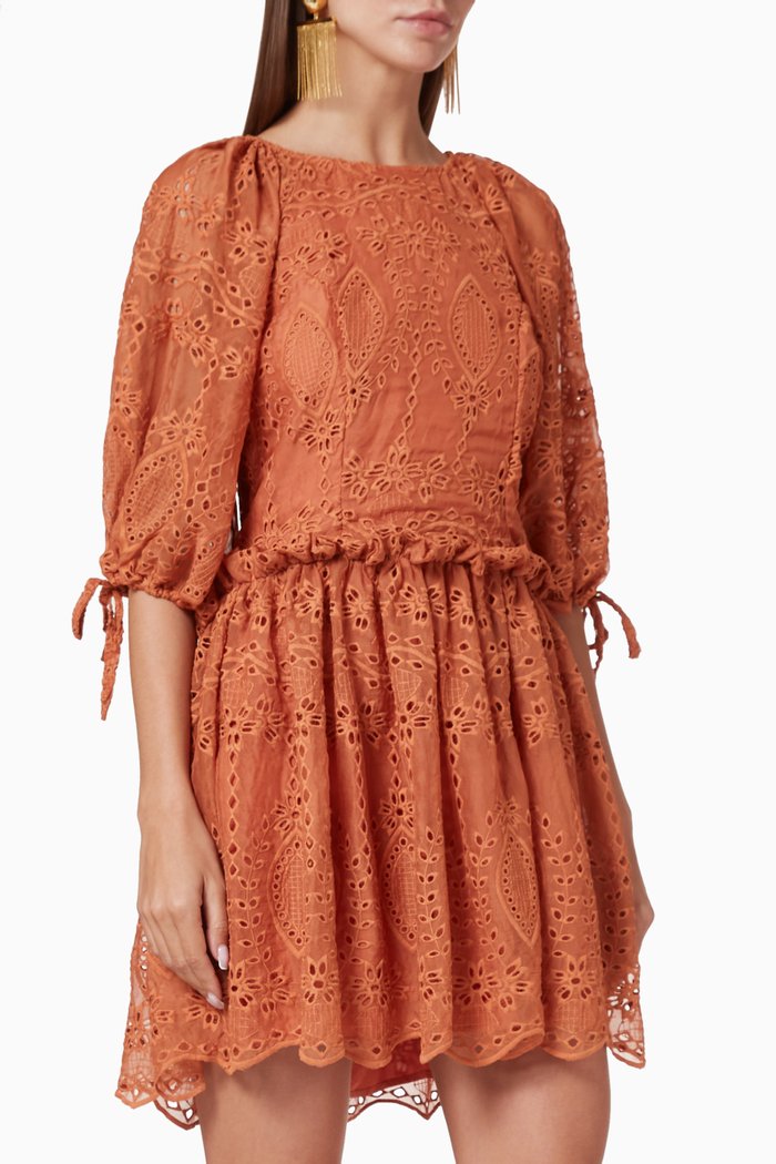 

Splendour Embroidered Mini Dress, Brown
