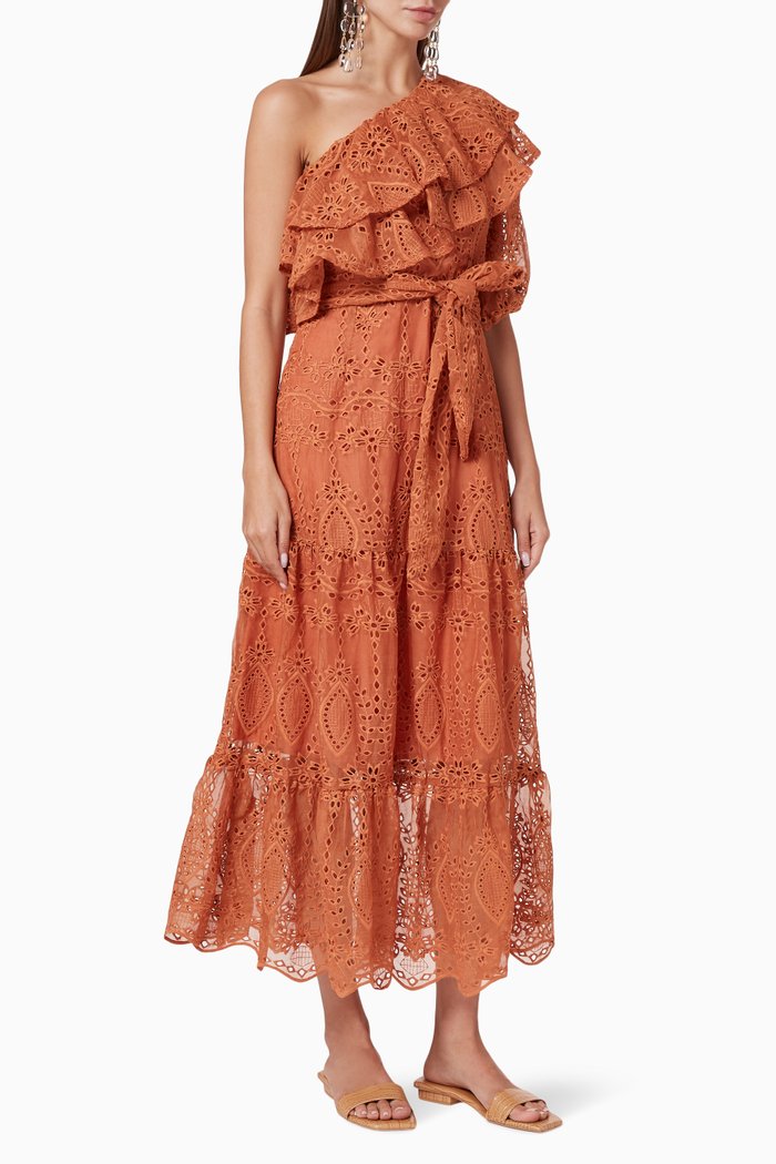 

Splendour Embroidered Maxi Dress, Brown