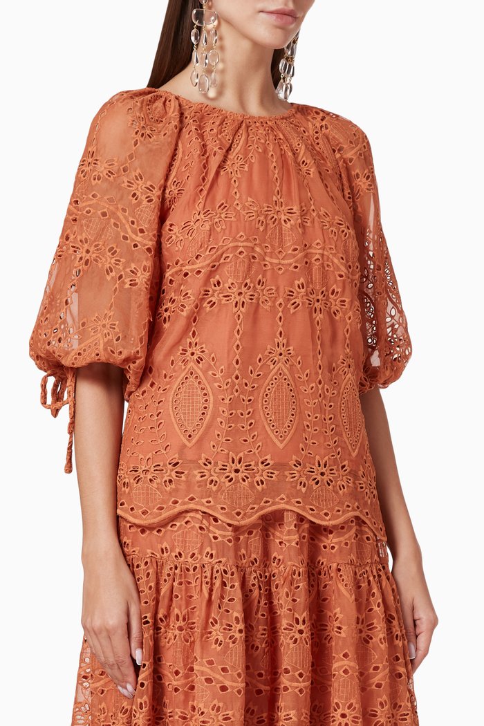 

Splendour Embroidered Top, Brown