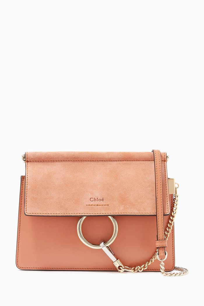 

Mini Faye Chain Bag in Shiny & Suede Calfskin, Brown