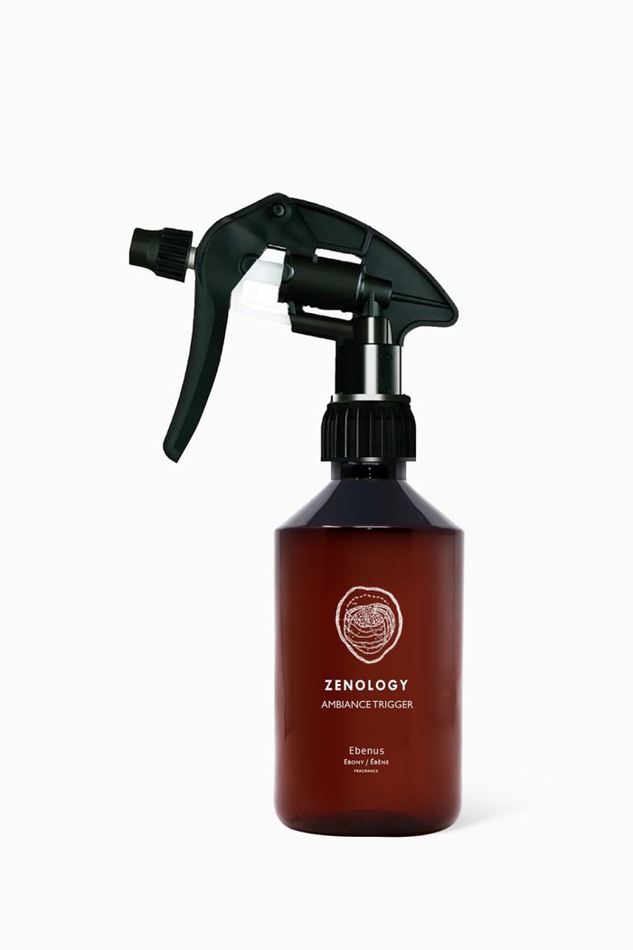 

Ebony Room Spray, 300ml, Colourless