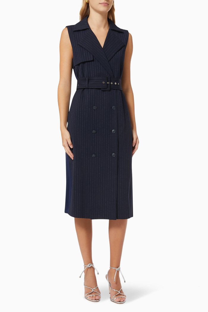 Istrice Pinstripe Dress, Blue