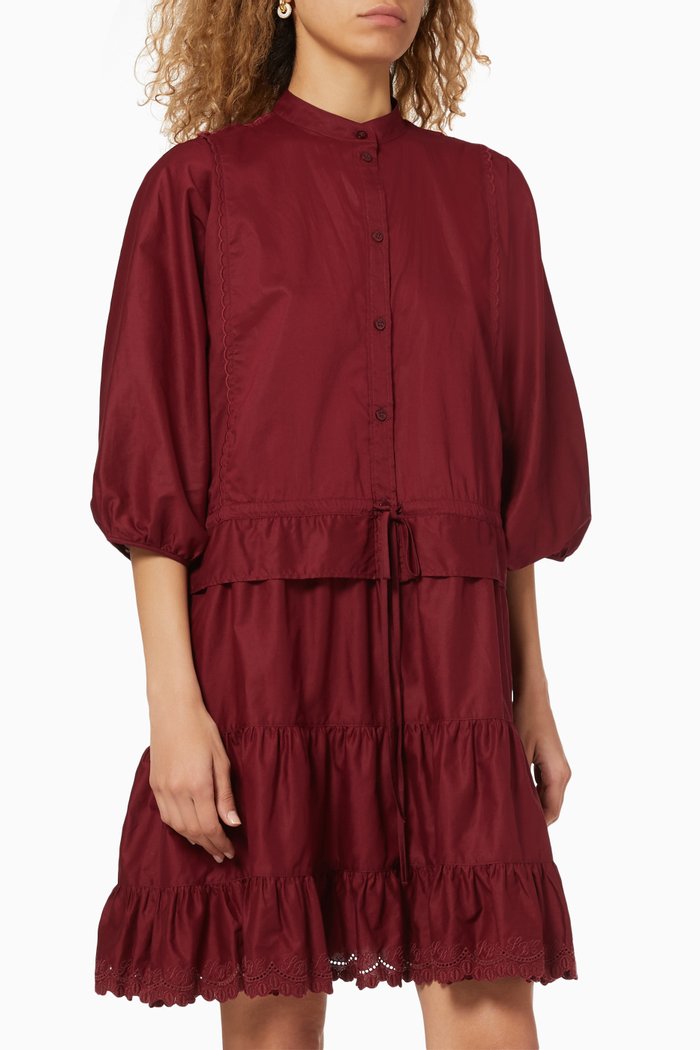 Ruffled Broderie Anglaise Poplin Dress, Burgundy