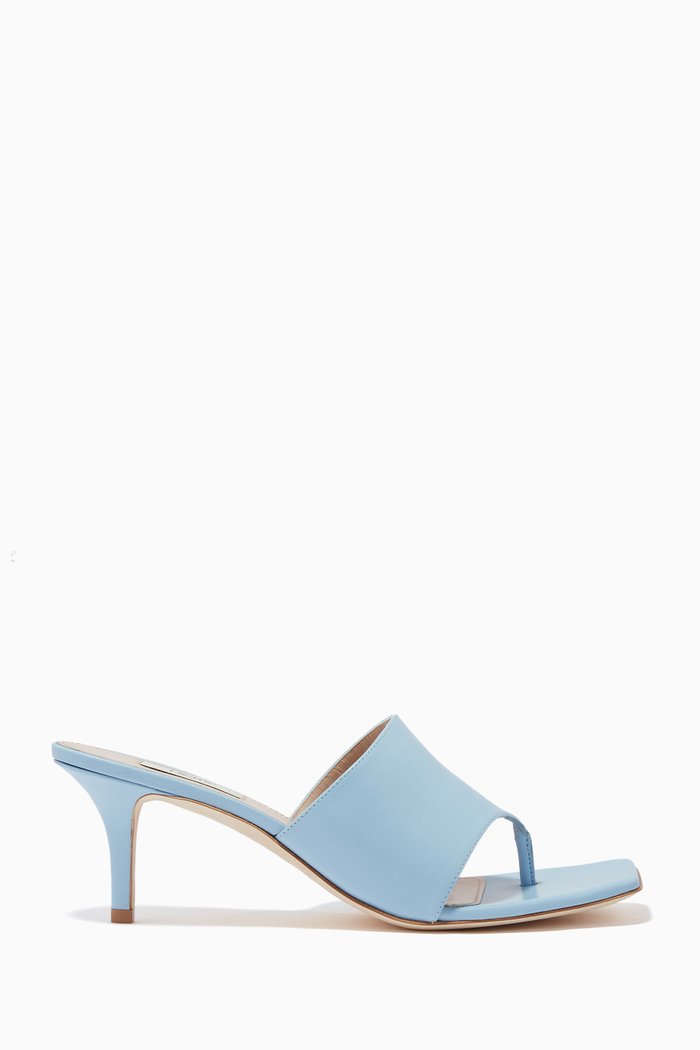 

Samba Thong Mules in Smooth Leather, Blue