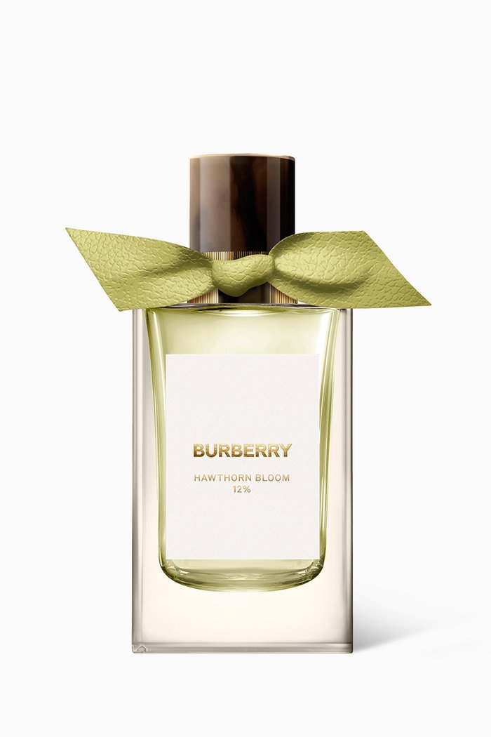 

Hawthorn Bloom 12% Eau de Parfum, 100ml, Multicolour