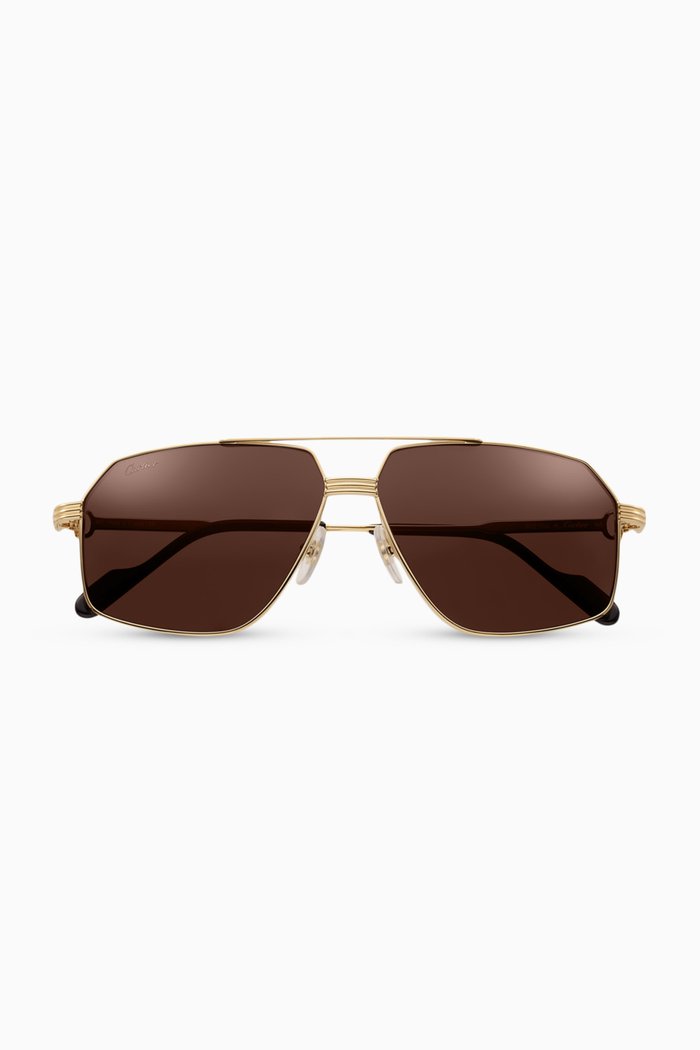 

D-frame Sunglasses in Titanium, Gold