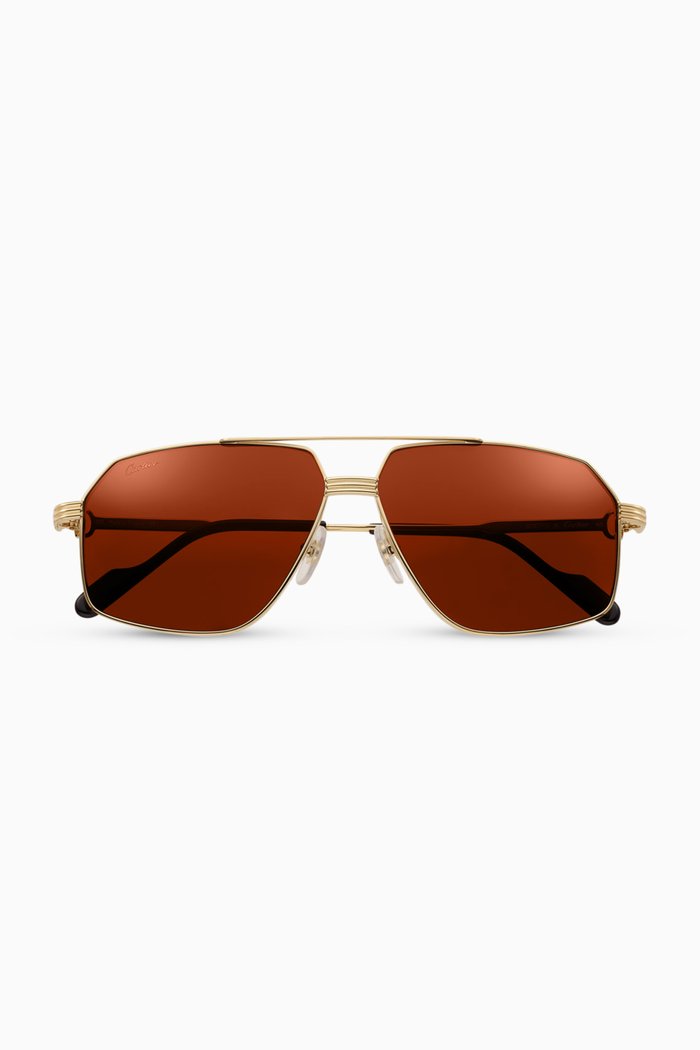 

D-frame Sunglasses in Titanium, Gold
