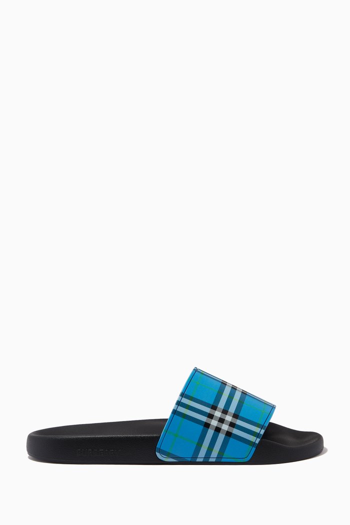 

Check Print Slides, Blue