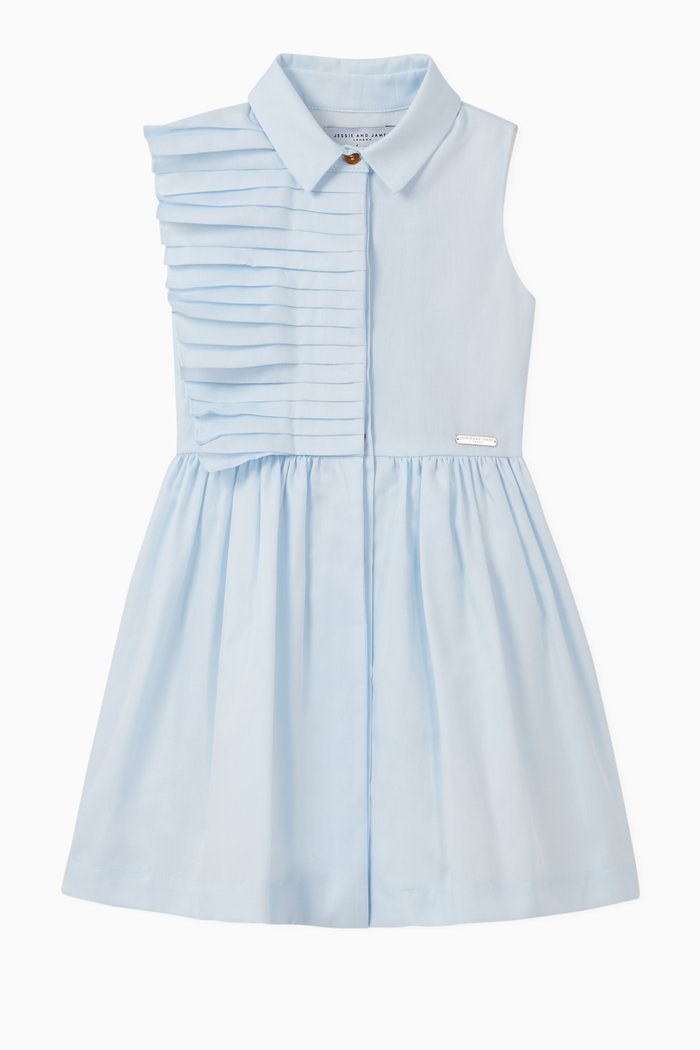 

Eden Pleated Panel Dress, Blue