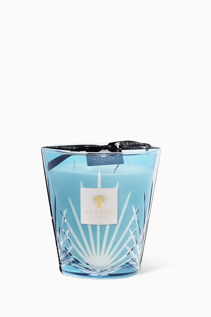 

Max 16 West Palm Candle, 1.1kg, Multicolour