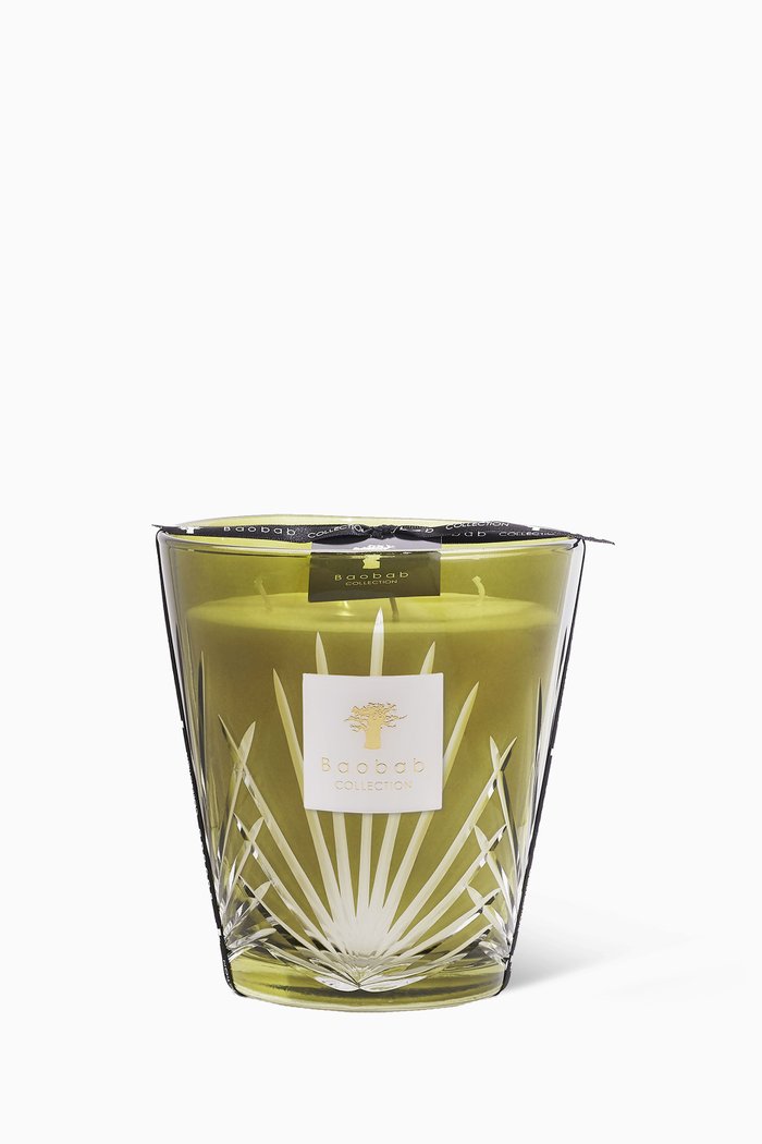 

Max16 Palm Springs Candle, 1.1kg, Multicolour