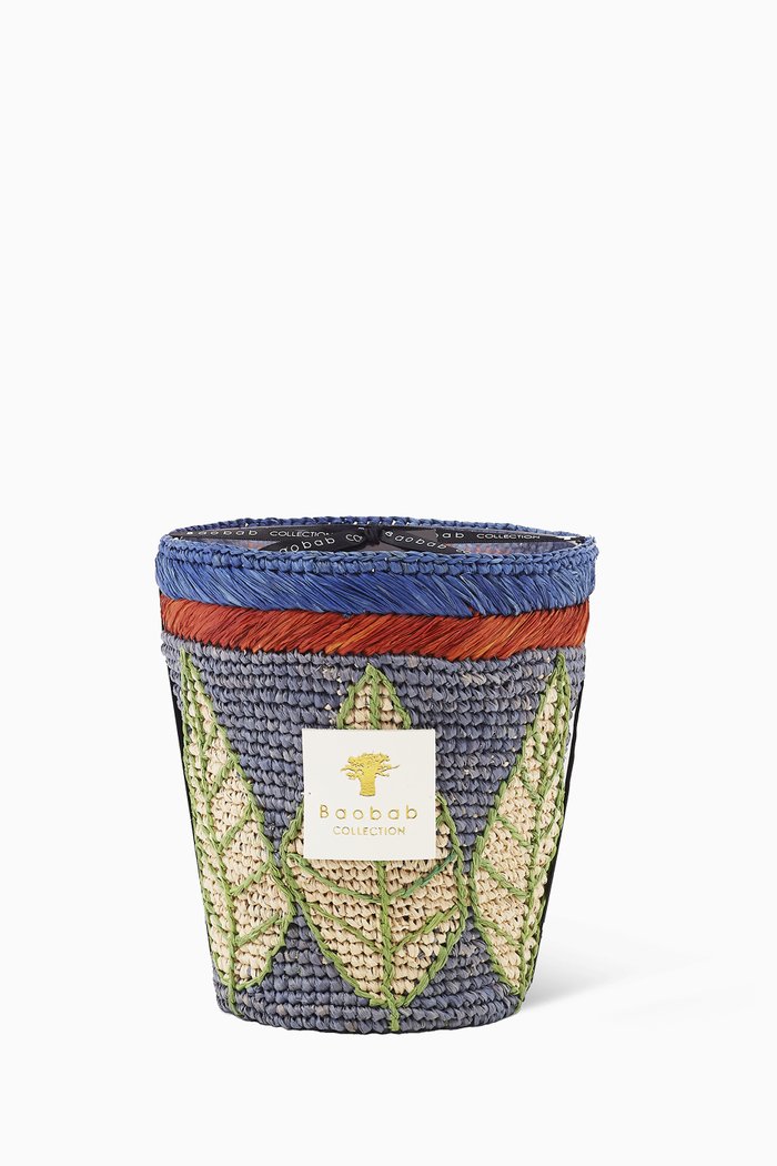 

Max 16 Ravintsara Manga Candle, 1.1kg, Multicolour