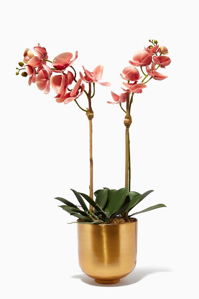 

Small Artificial Orchid Arrangement with Metallic Gold Pot, Pink