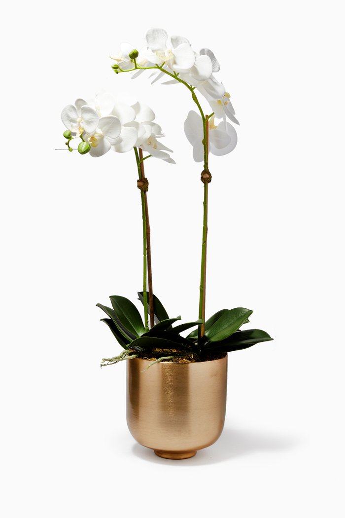 

Small Artificial Orchid Arrangement with Metallic Gold Pot, White