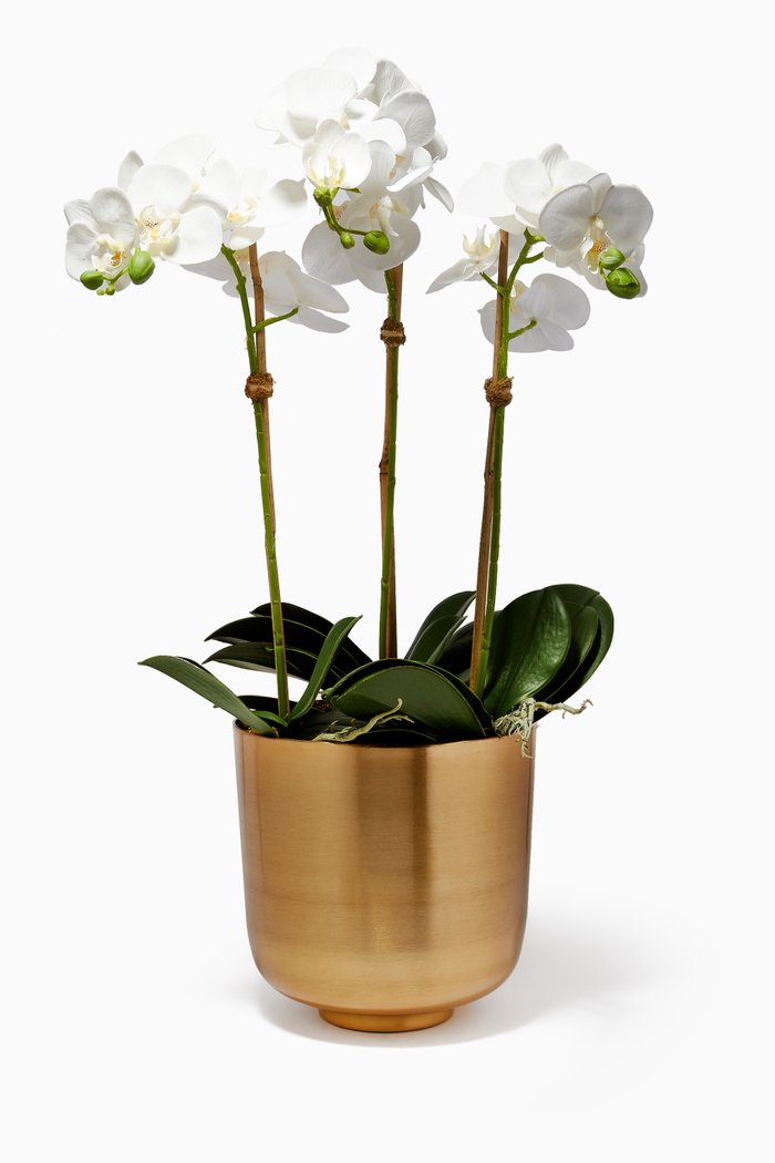 

Large Artificial Orchid Arrangement with Metallic Gold Pot, White
